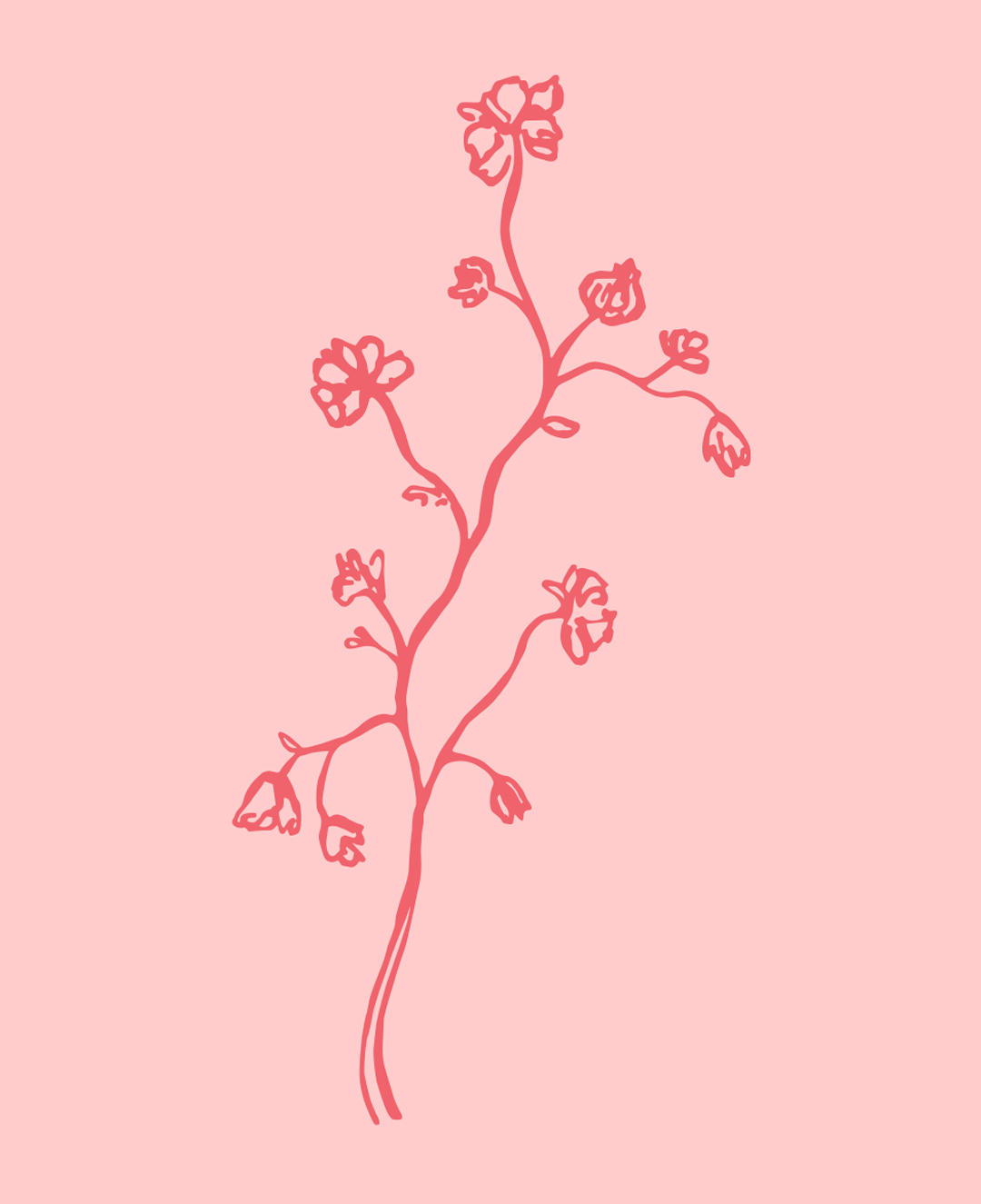 illustration of flowers