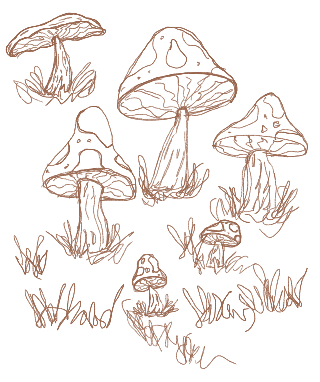 sketches of mushrooms